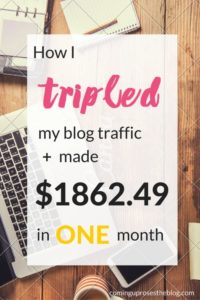 Income Report + Traffic Report on Coming Up Roses