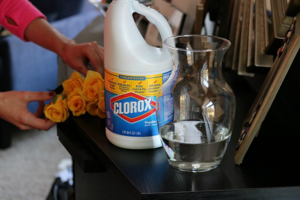 5 Cleaning Hacks using Bleach (for Millennials with no time!) - with Clorox, on Coming Up Roses