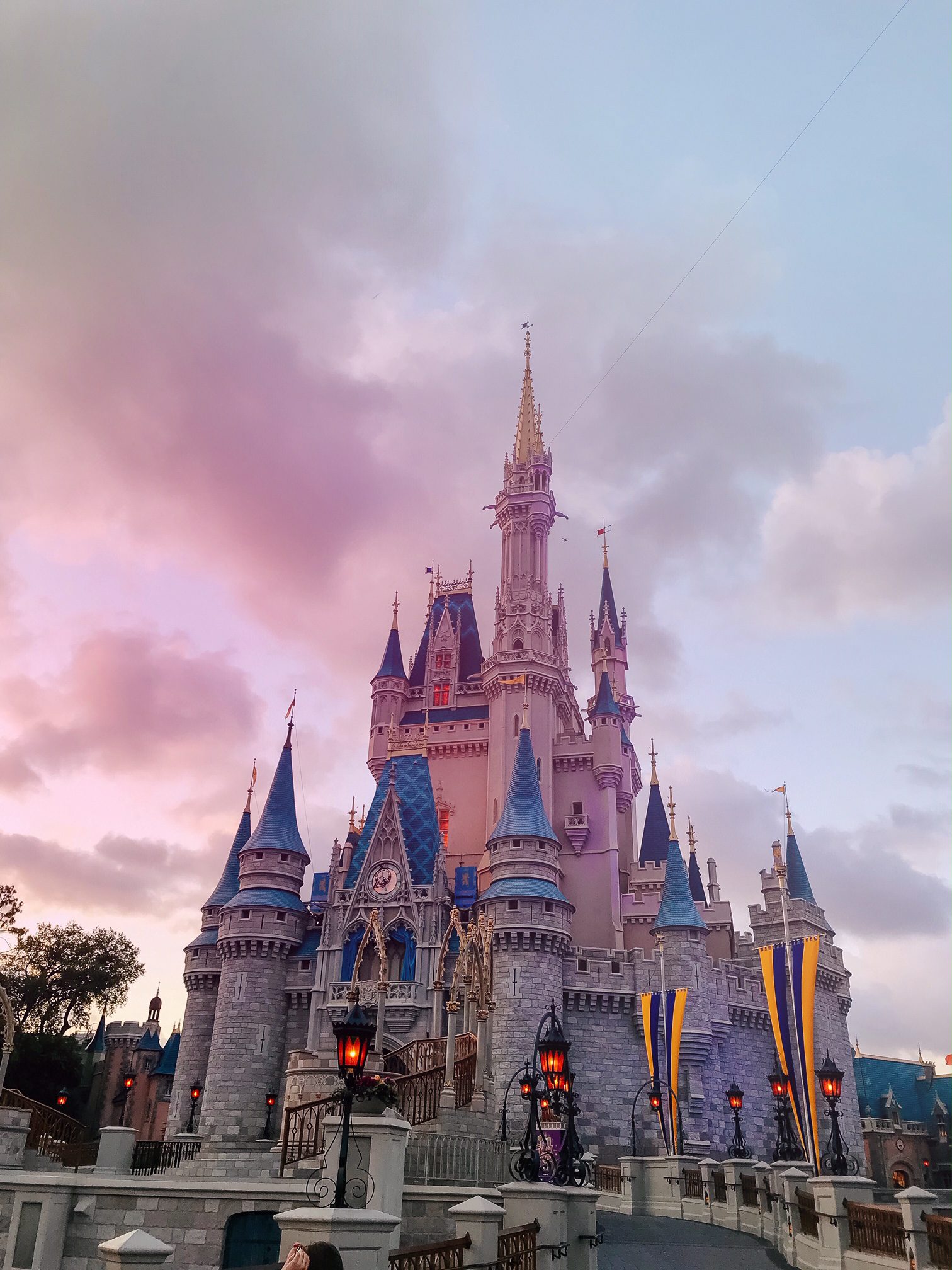 24 Hours in Walt Disney World