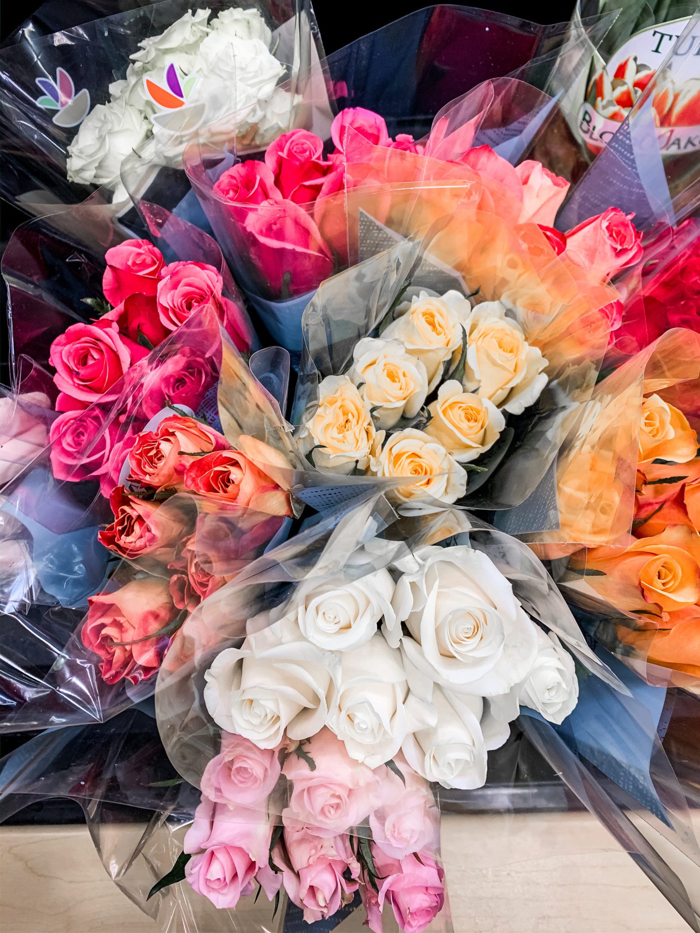WEEKEND READING, Vol. 75 - on Coming Up Roses