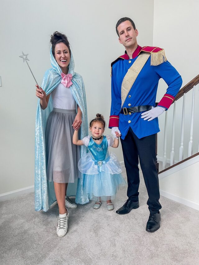 Easy Family Cinderella Costumes