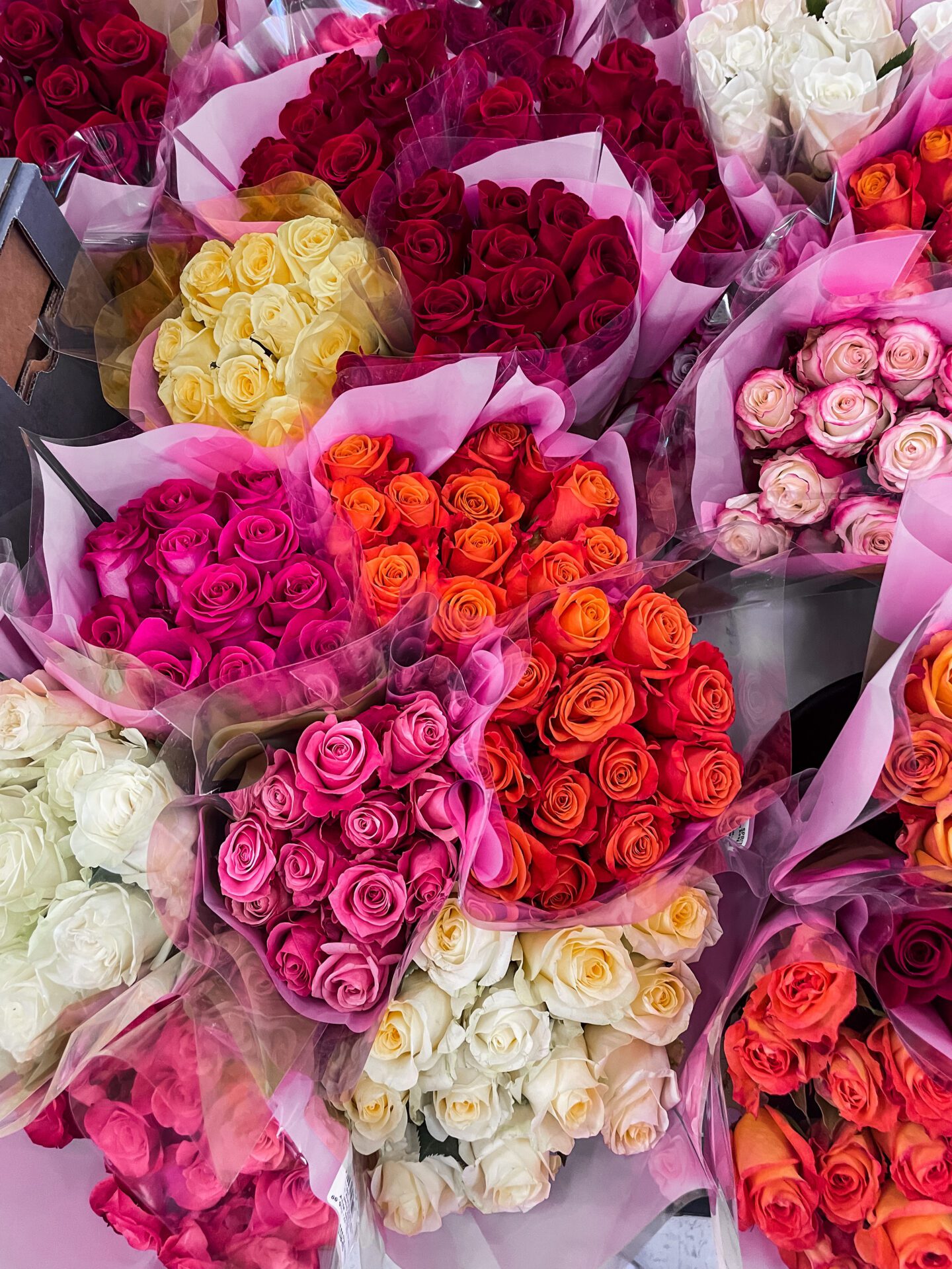 WEEKEND READING, Vol. 162 - on Coming Up Roses