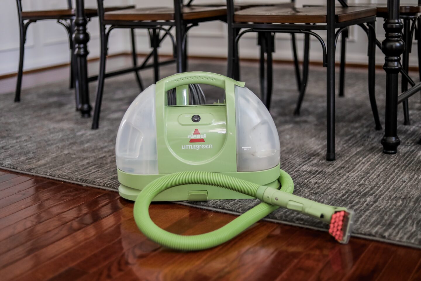 BISSELL wet vac for pet stains - on Coming Up Roses