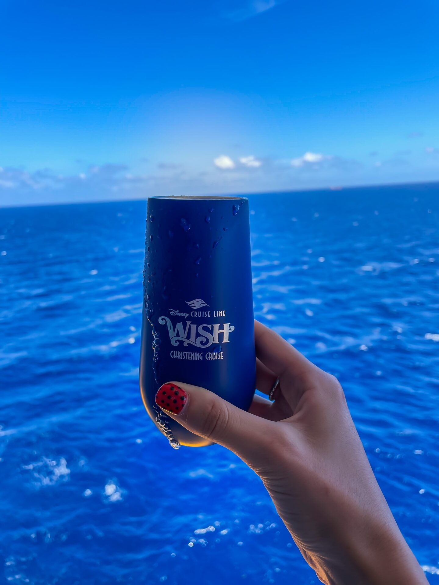 DISNEY WISH - Disney Cruise review with tips and our photo diary!