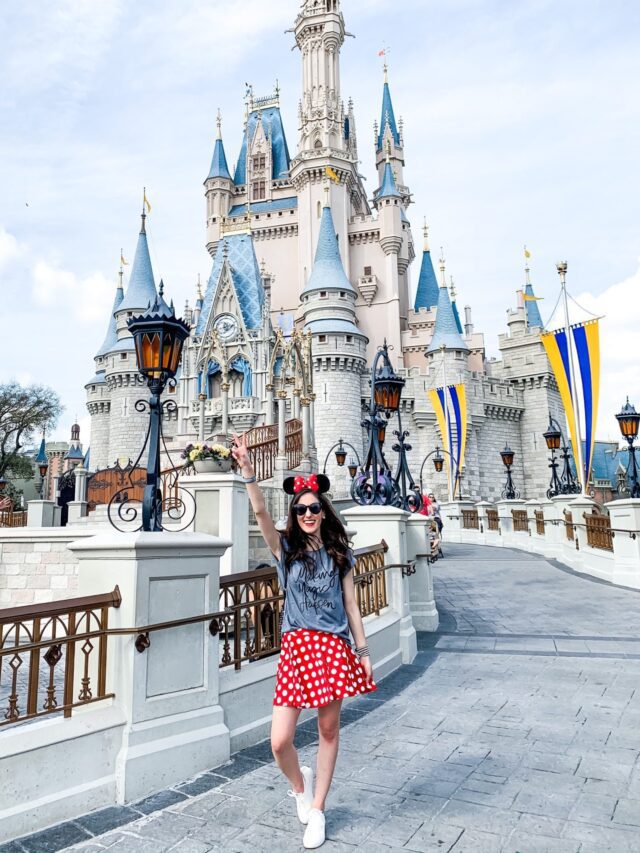 DISNEY Outfit Idea: CRUISE EDITION