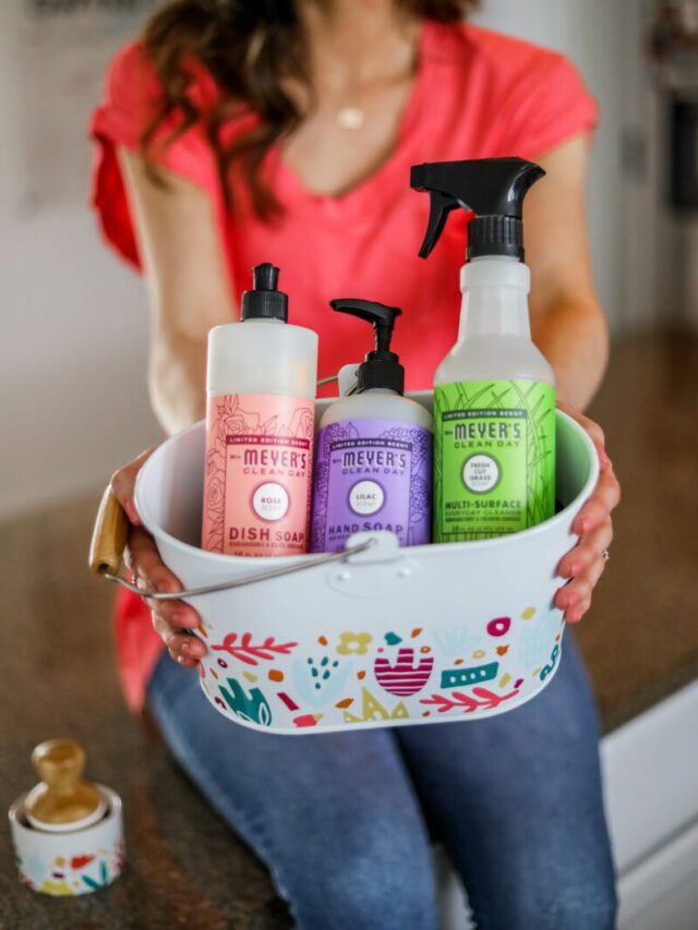 15 KITCHEN SPRING CLEANING TIPS