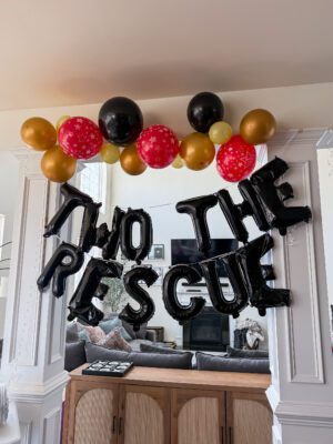 Our TWO the Rescue 2nd birthday theme was a huge hit! - 2 year old birthday ideas and party planning on Coming Up Roses